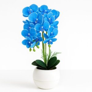 Florist